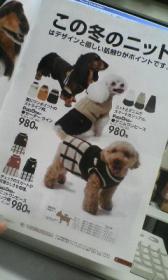 思い出すなぁ。