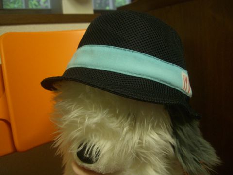 doublemeshhat2.jpg