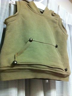 hoodvest3.jpg