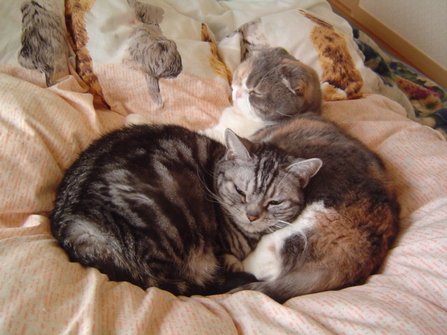 気持ちいいなあ