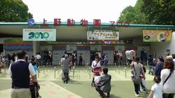 上野動物園1.JPG