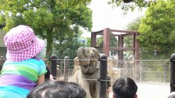 上野動物園3.JPG