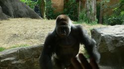 上野動物園5.JPG