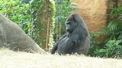 上野動物園6.JPG