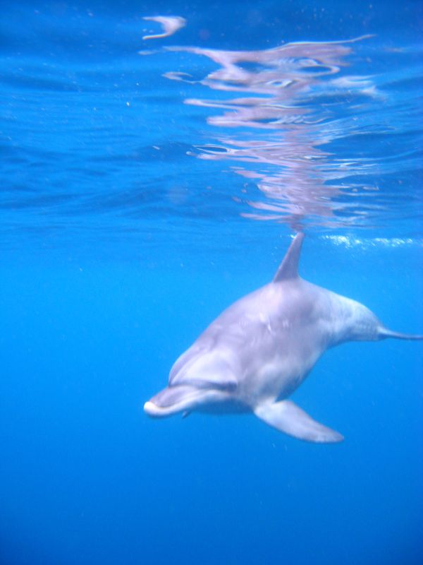 鏡のような水面。