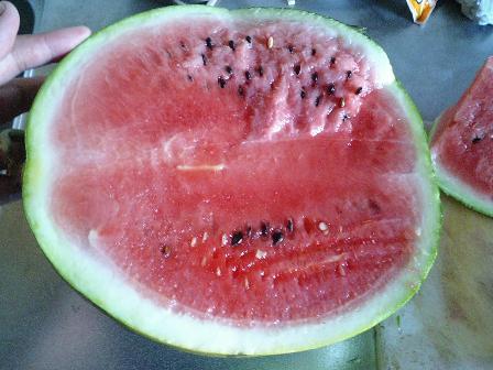 すいか.jpg
