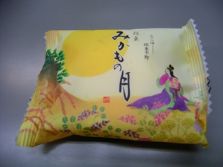 みかもの月.JPG