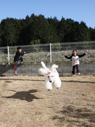 かけっこ