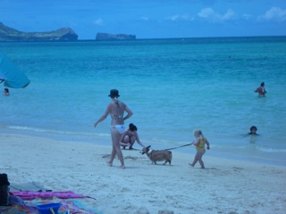 ラニカイビーチ２