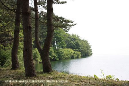 琵琶湖の畔