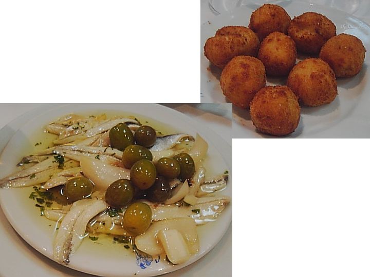 エルショテス１