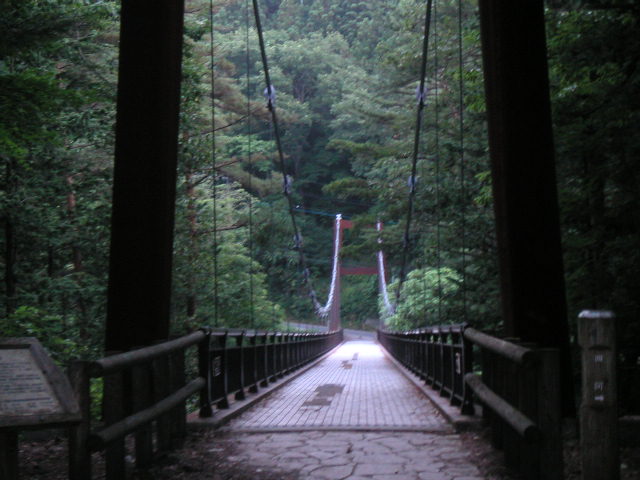 PICT0100.JPG