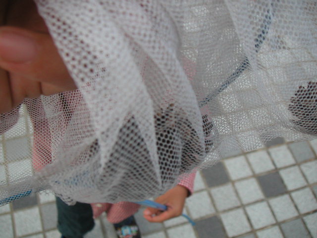 PICT0103.JPG
