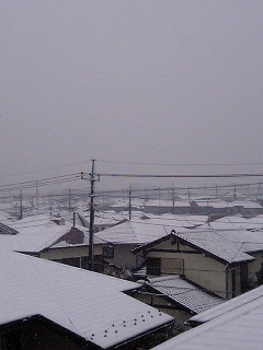 雪