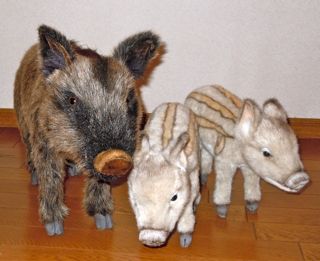 uri familia