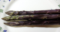 asperge-violet1