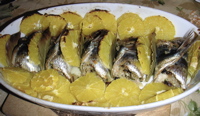 salde b