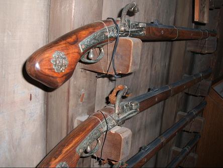 姫路城銃アップ