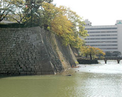 福井城址北西隅、天守台のある所