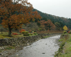 義景館跡付近の一乗谷川