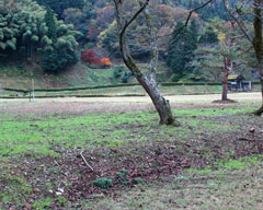 義景館跡北側の柳の馬場