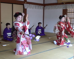 北陸一の芸達者「芦原芸妓」の奉納の踊り