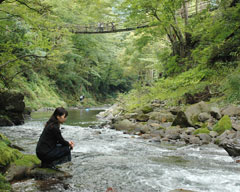 カップルで賑う「かずら橋」