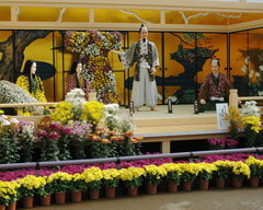 伝統の「たけふ菊人形」