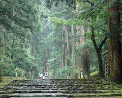 巨大な杉が立ち並び、幽玄な雰囲気が魅力の平泉寺境内