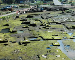 八地谷地区の掘建柱を多様した住居跡