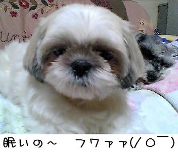 眠いの～