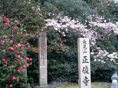 CA251315.JPG