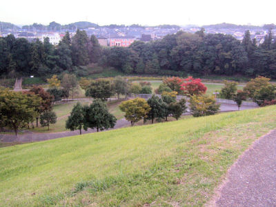 お山の公園に行ったよ