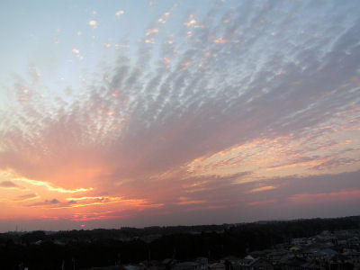 奇麗な夕焼け