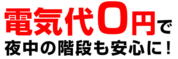 アルファフラッシュ｜ http：／／www．ltic．co．jp／