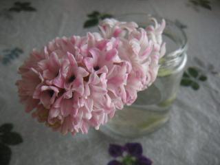 okushon022 331.jpg