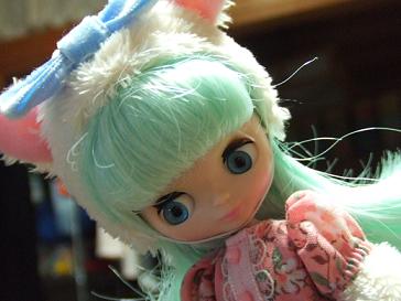 キュウイ４