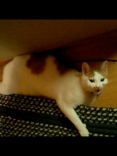 2006-09-02 01:47:14