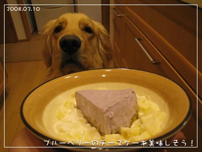 ブルーベリーのチーズケーキ美味しそう(08.03.10)
