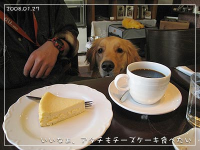 アタチもチーズケーキ食べたい(08.01.27)
