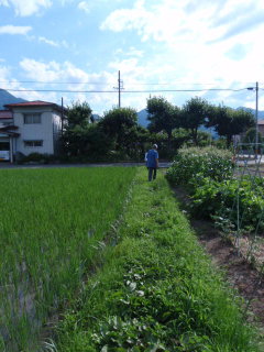 P7180006a.jpg