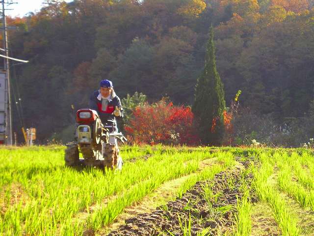 田起こし