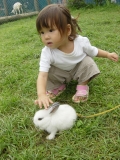 ひなたとウサギ