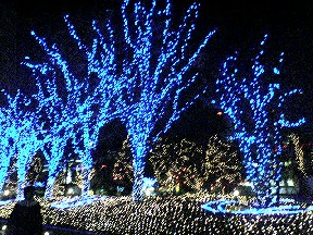 新宿サザンライツ
