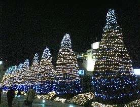 新宿サザンライツ