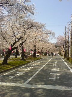 namikidoori