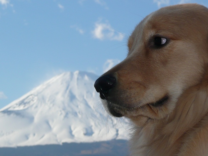 富士山