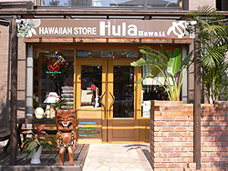 ashiya　hula hawaii.jpg