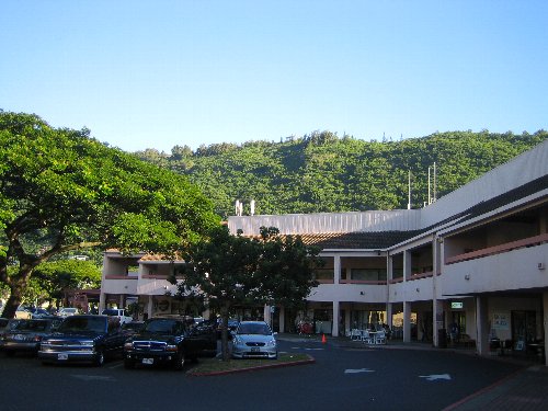 hawaii マノア1.jpg