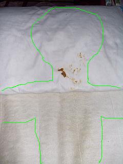 CIMG1264-1.JPG